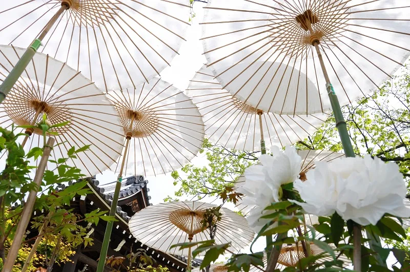 穀雨って知っていますか？意味や旬の食べ物、今やるべき準備を徹底解説