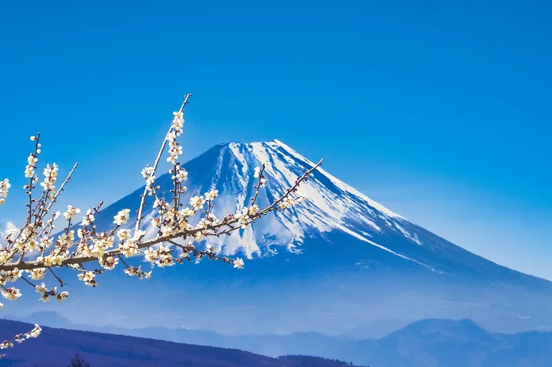 ２月２３日は『富士山の日』。日本には「富士」がつく地名は何ヵ所くらいあるの？