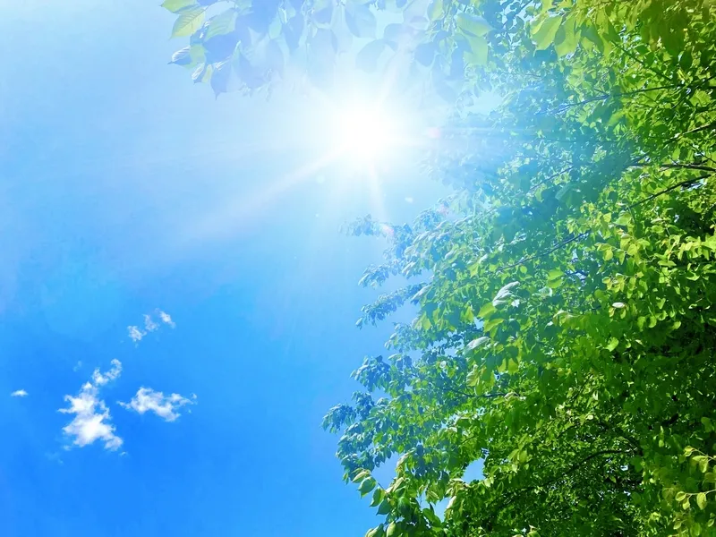 expert2025061703_main.webp