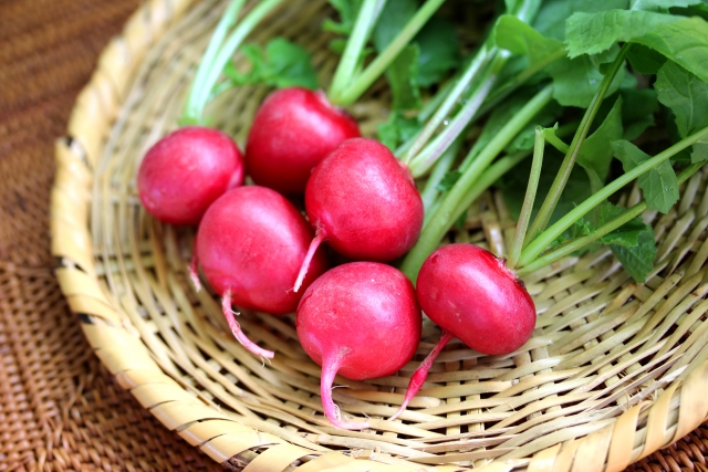 プランターで始める家庭菜園｜初心者におすすめの野菜・果物６選