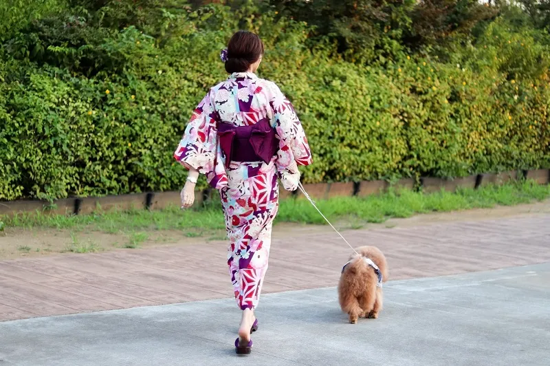 浴衣は帯や小物で印象が変わる！大人な帯の変わり結び、集めました