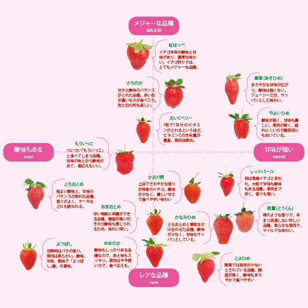 ウォーカープラス