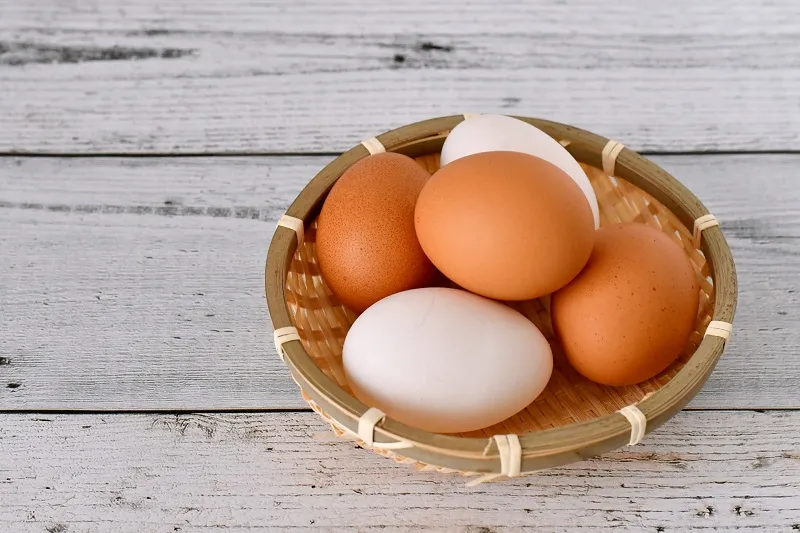 卵に白と赤があるのはなぜ？味や栄養、値段の違いはあるの？