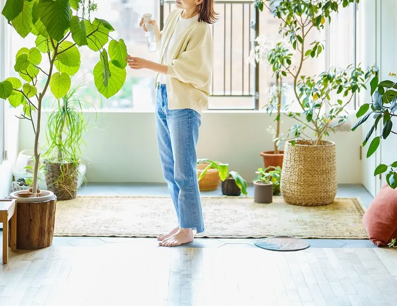 「丁寧な暮らし」—ちょっとしんどくなった理由と、いま大切にされていること