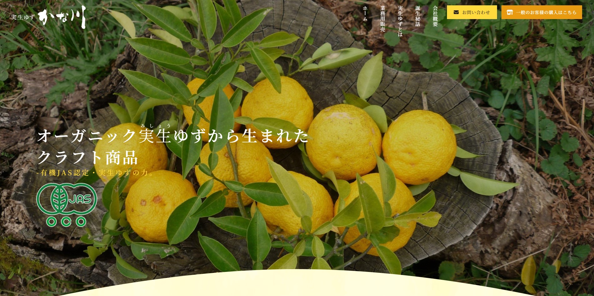 有機JAS認定された実生ゆずを使用したゆず茶の製造販売｜長門市俵山 株式会社かな川