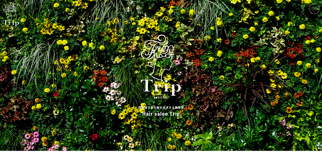 Trip
