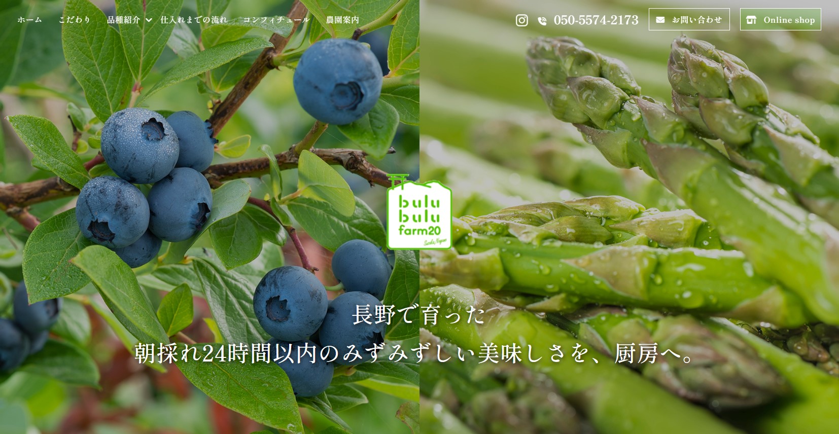 国産有機アスパラガスやブルーベリーの業務用仕入れならブルブルファーム20